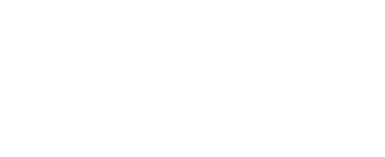 Trust But Verify Inc